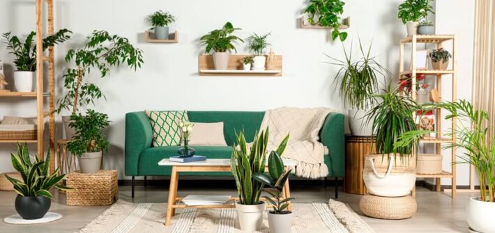 Décoration écolo